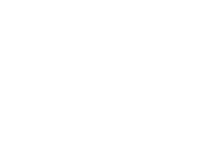 Volvo Group Logo crop2